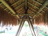 coberturas (11)